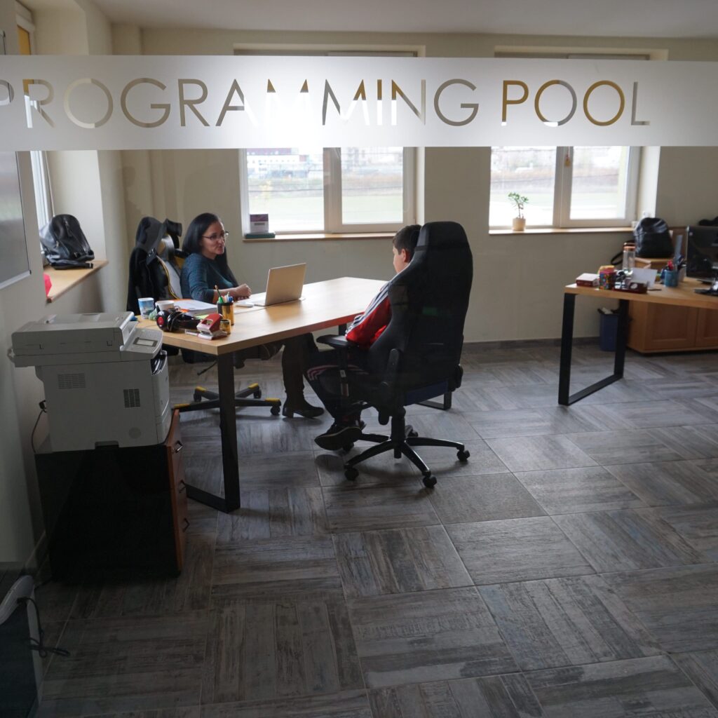 ziua stefetei a programmer's day programmingpool