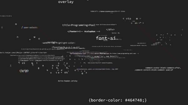 Customized software development