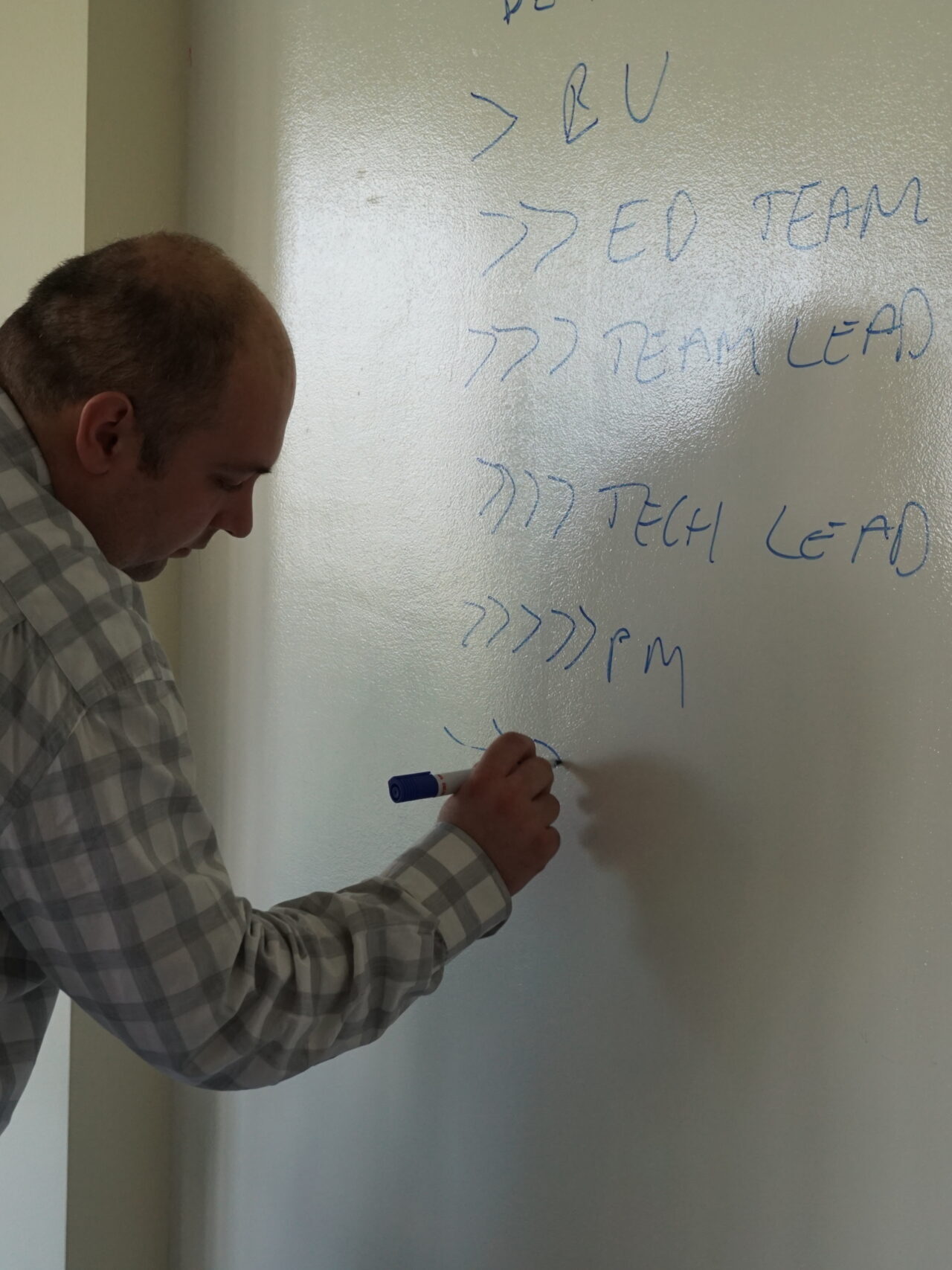 career patch in a software organization