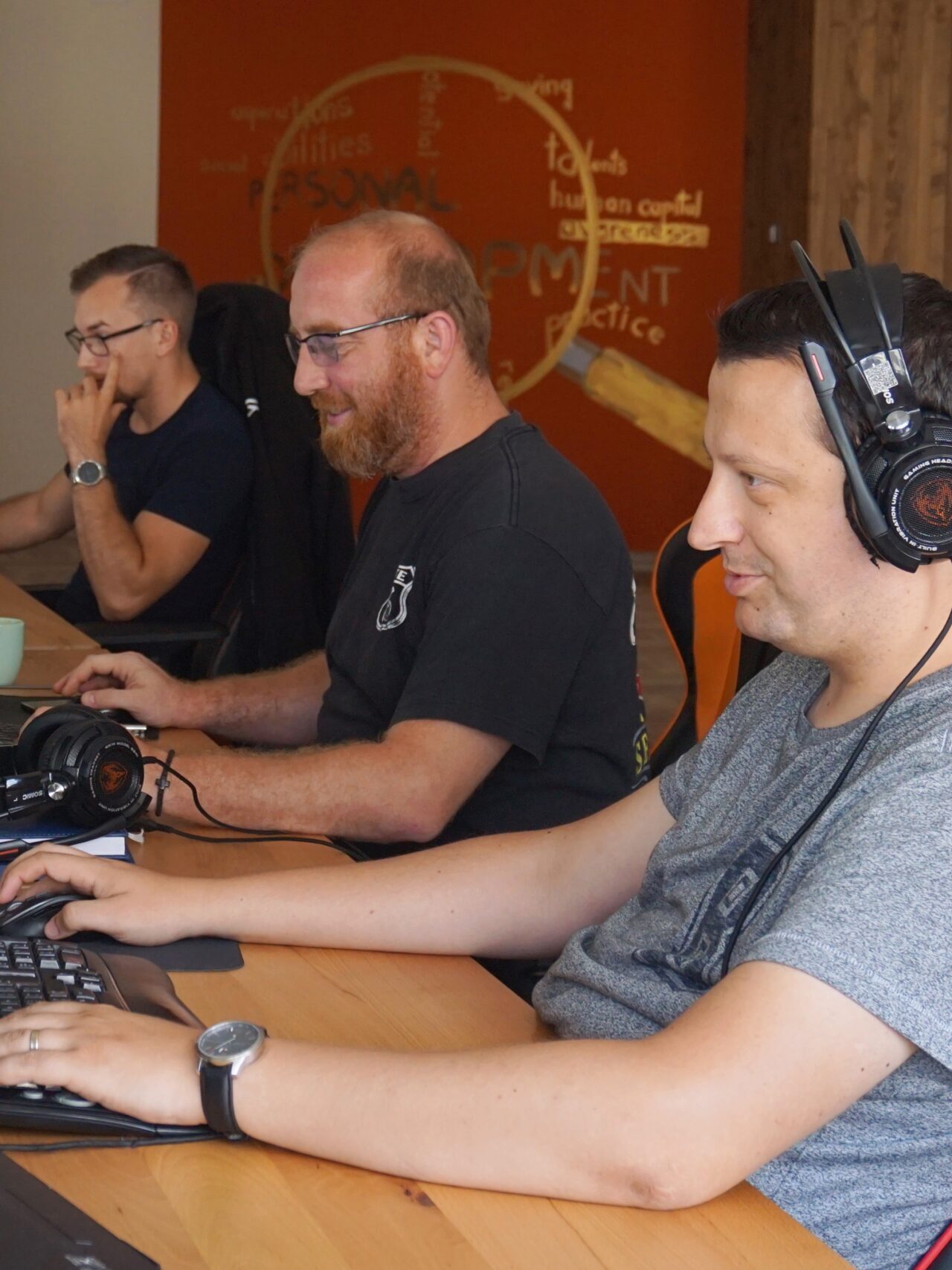 career patch in a software organization