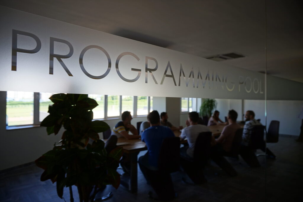 career patch in a software organization