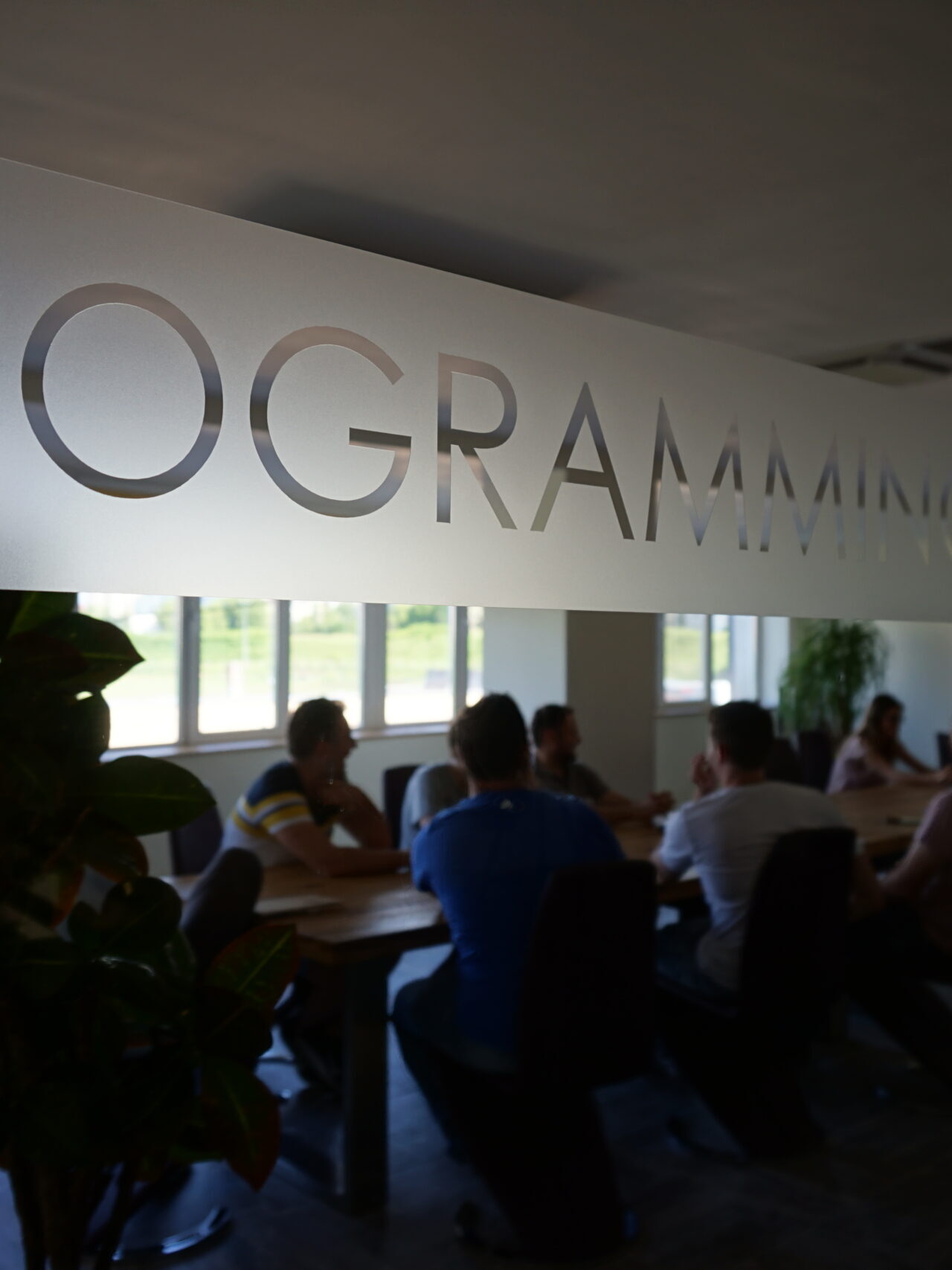 career patch in a software organization